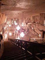 Korwin w Krakowie i Wieliczce