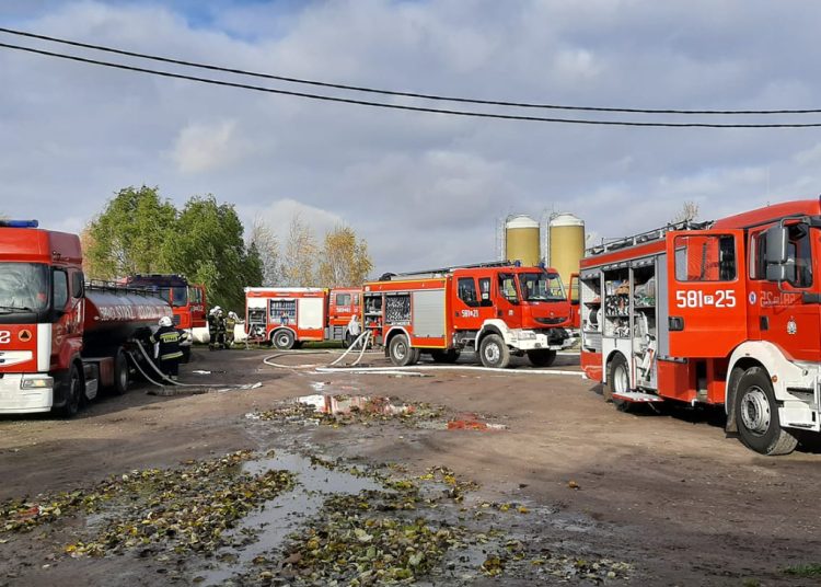 Pożar fermy drobiu