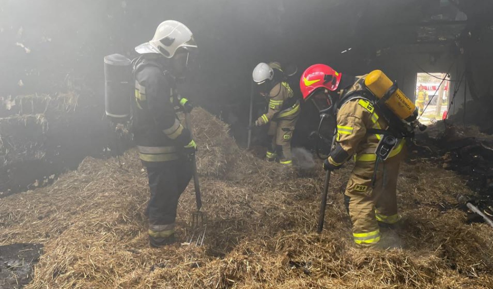 Pożar w Cieninie. Padło 15 tysięcy kurczaków AKTUALIZACJA