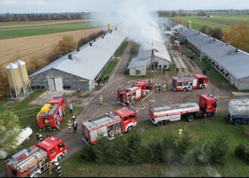 Pożar w Cieninie. Padło 15 tysięcy kurczaków AKTUALIZACJA