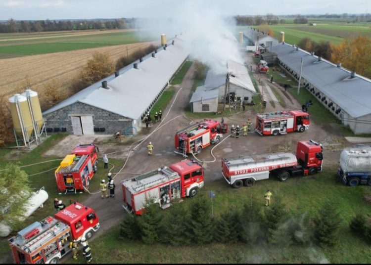 Pożar w Cieninie. Padło 15 tysięcy kurczaków AKTUALIZACJA