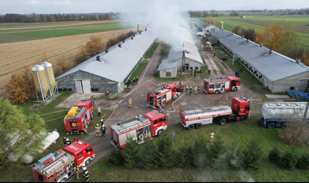Pożar w Cieninie. Padło 15 tysięcy kurczaków AKTUALIZACJA