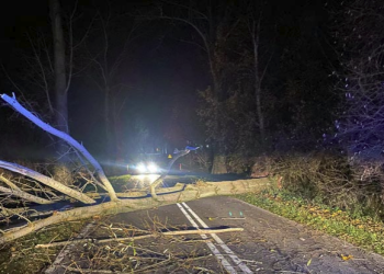 Drzewo zablokowało drogę