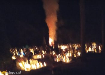 Pożar na cmentarzu. Wezwano straż
