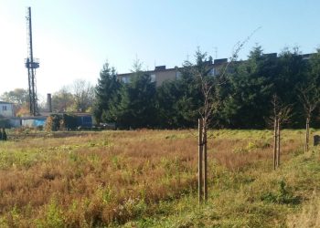 Wybudują dwa bloki w Ostrowitem?