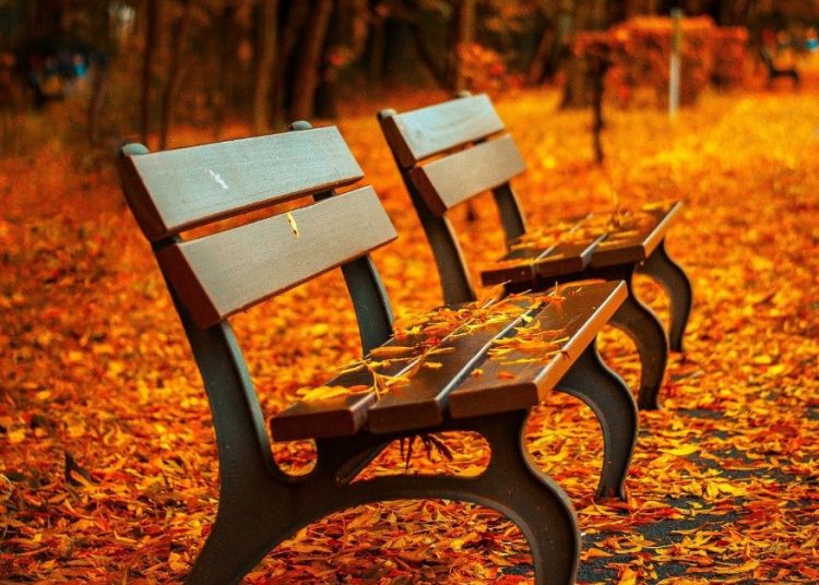 Chce ławek na „Osiedlu Poetów”