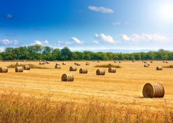 Podatek rolny o złotówkę w górę