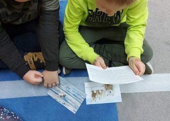 W Drążnej o niedźwiedziach wiedzą wszystko