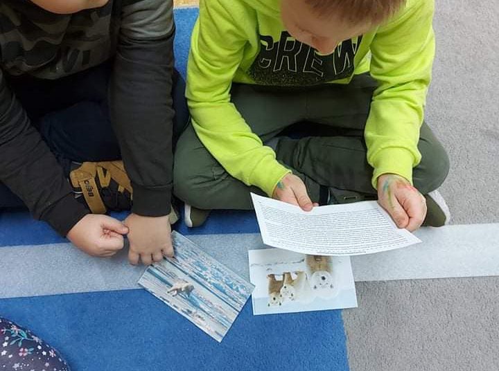 W Drążnej o niedźwiedziach wiedzą wszystko