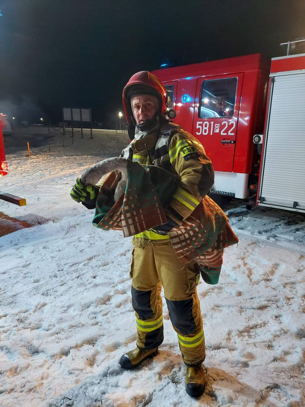 Łabędź przymarznięty do lodu