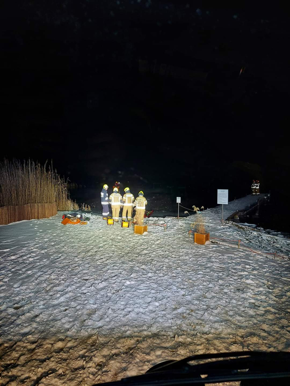 Łabędź przymarznięty do lodu