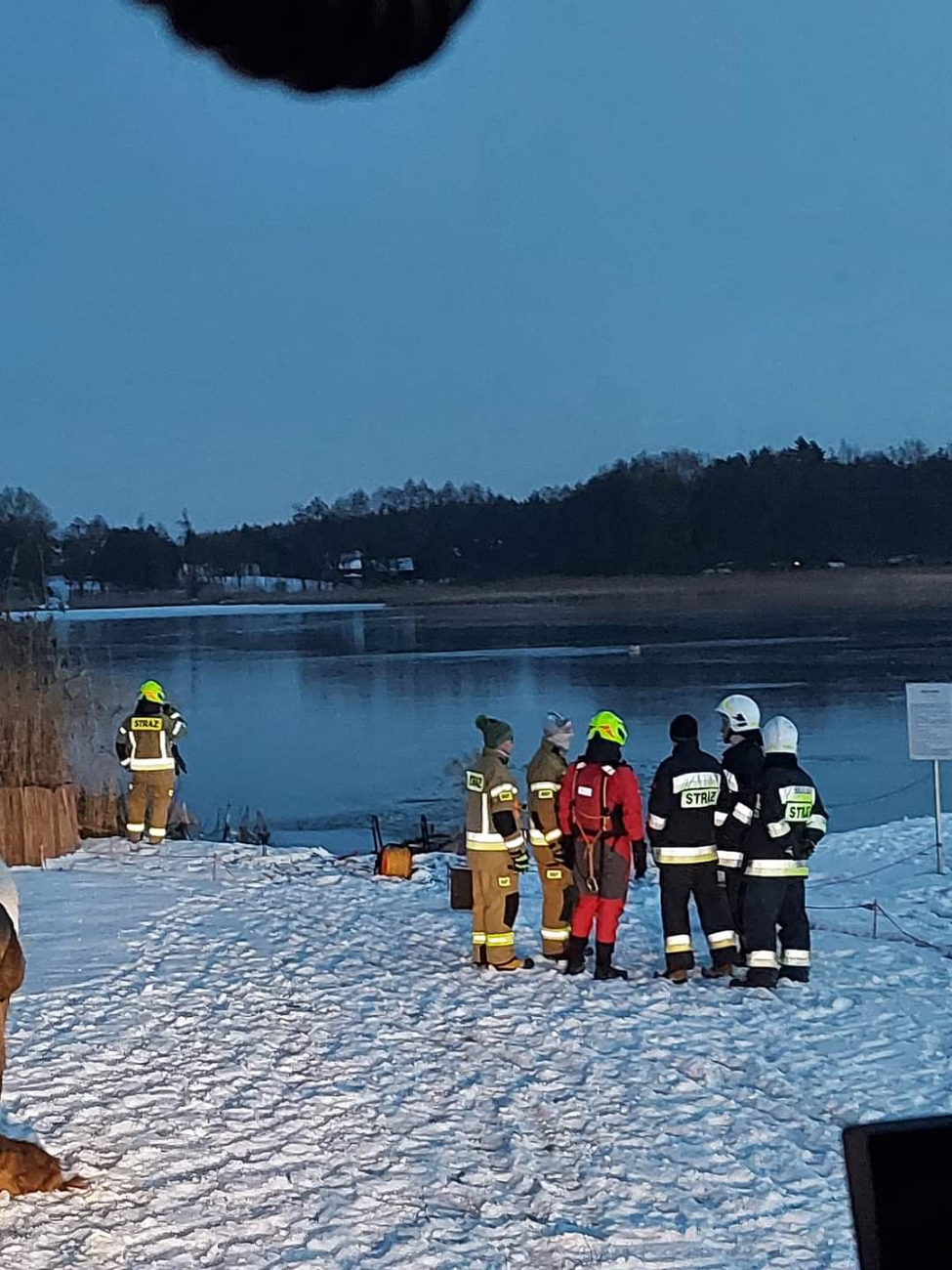 Łabędź przymarznięty do lodu