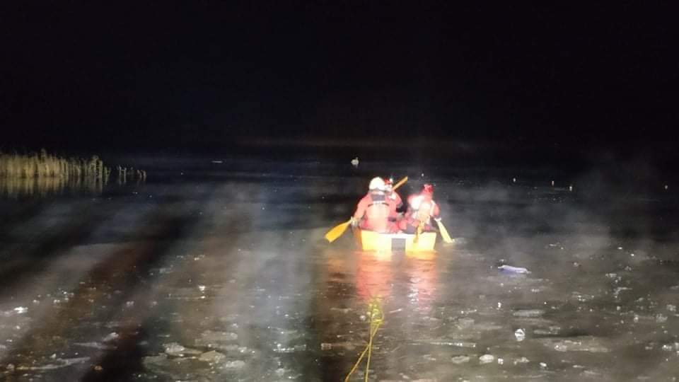 Łabędź przymarznięty do lodu