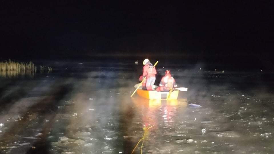 Łabędź przymarznięty do lodu