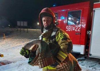 Łabędź przymarznięty do lodu