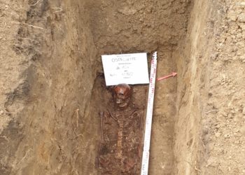 Ekshumacja w Ostrowitem. Przeniesiono szczątki żołnierza