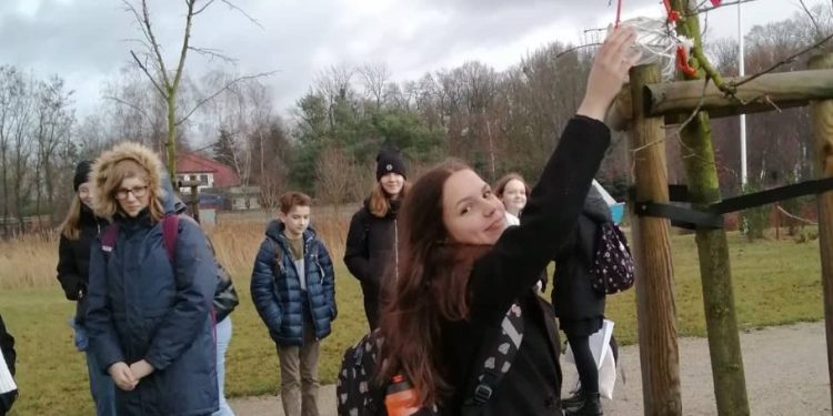 Zrobili karmniki, będą dbać o ptaki