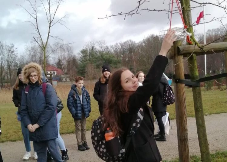 Zrobili karmniki, będą dbać o ptaki