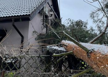 Drzewo przewróciło się na dom ZDJĘCIA