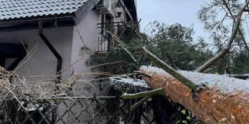 Drzewo przewróciło się na dom ZDJĘCIA