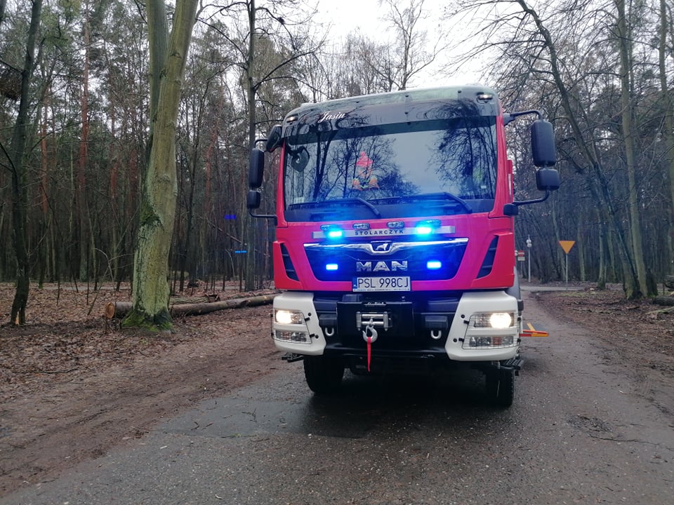 Interweniowali na Gajowej, Koszuckiej i w Korwinie