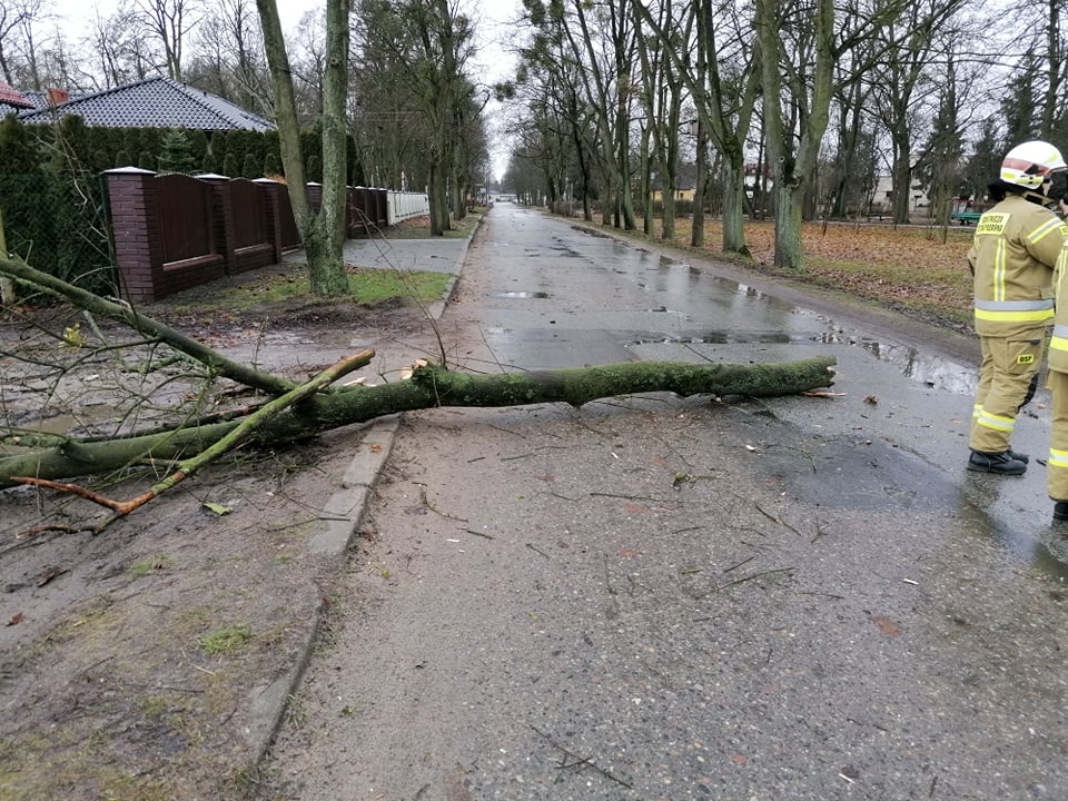 Interweniowali na Gajowej, Koszuckiej i w Korwinie