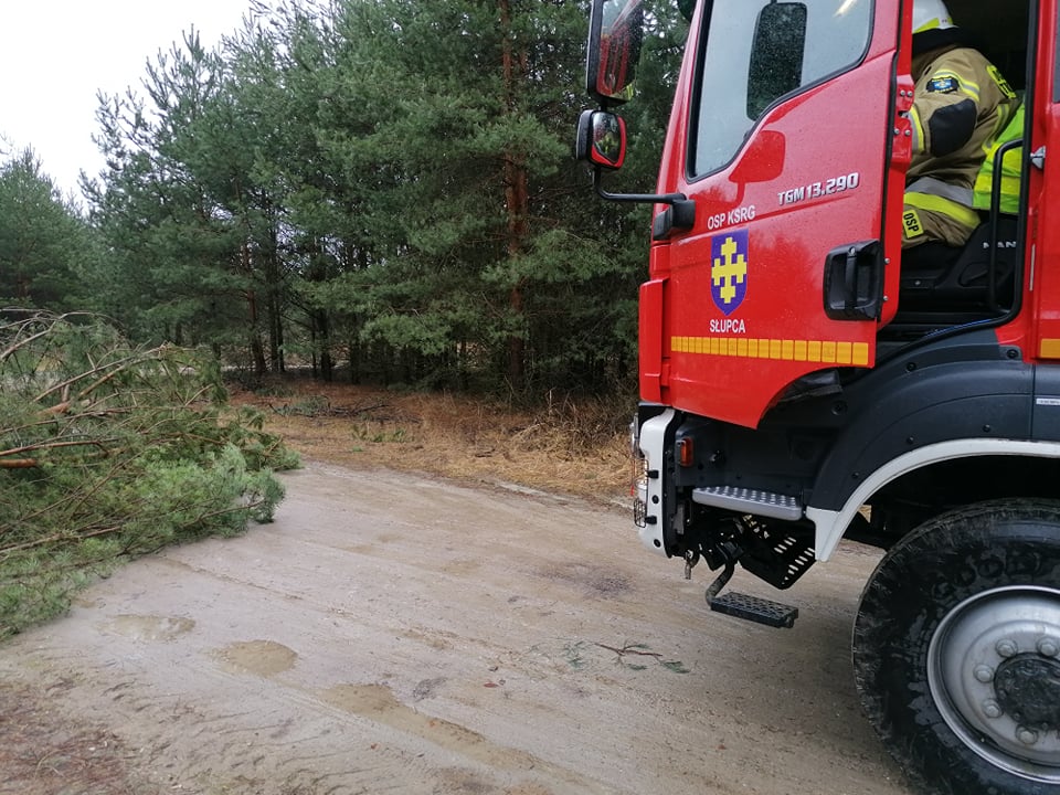 Interweniowali na Gajowej, Koszuckiej i w Korwinie