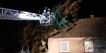 Kolejna akcja druhów z Kamienia