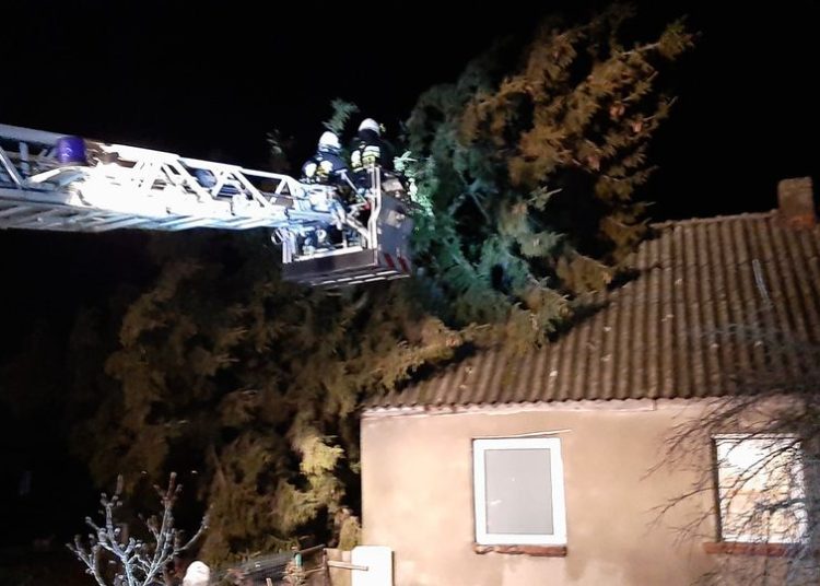 Kolejna akcja druhów z Kamienia