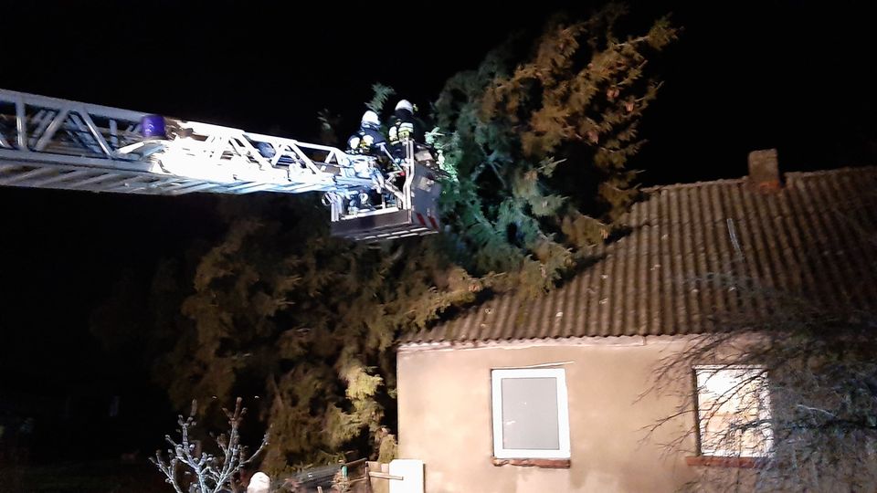 Kolejna akcja druhów z Kamienia