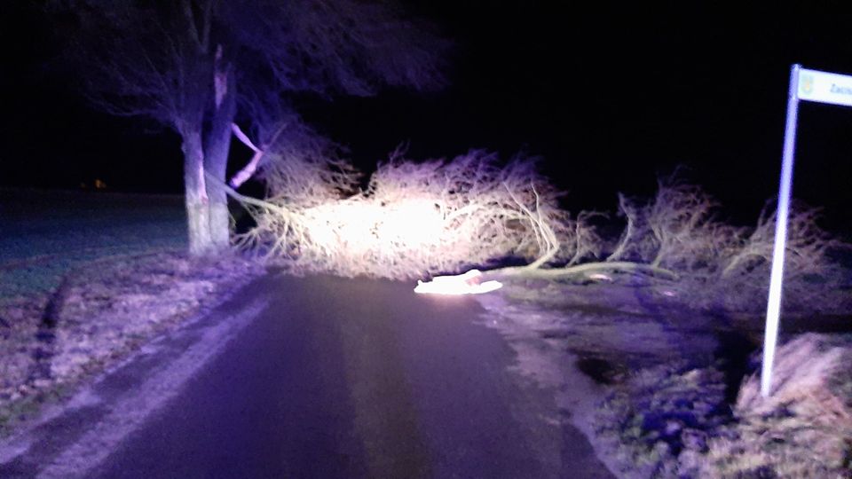 Kolejna akcja druhów z Kamienia
