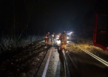 Drzewo zablokowało drogę