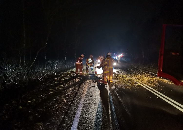 Drzewo zablokowało drogę