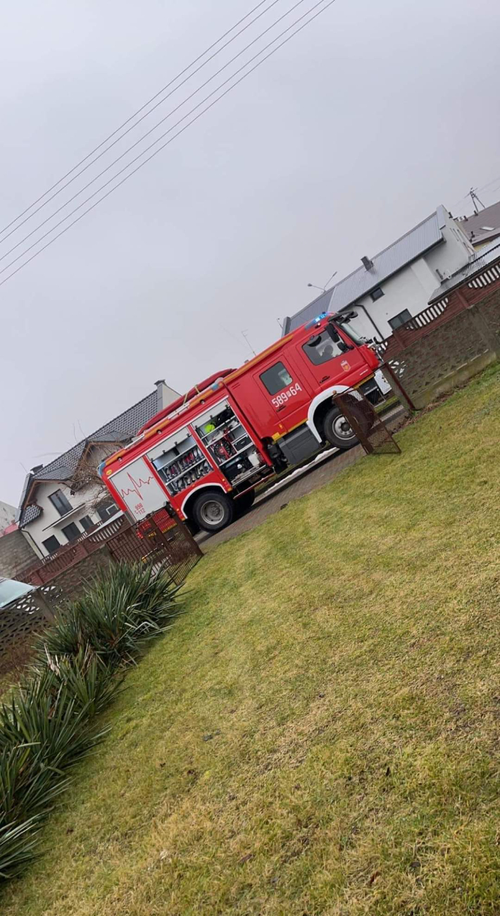 Kot wpadł do studni. Interweniowali strażacy