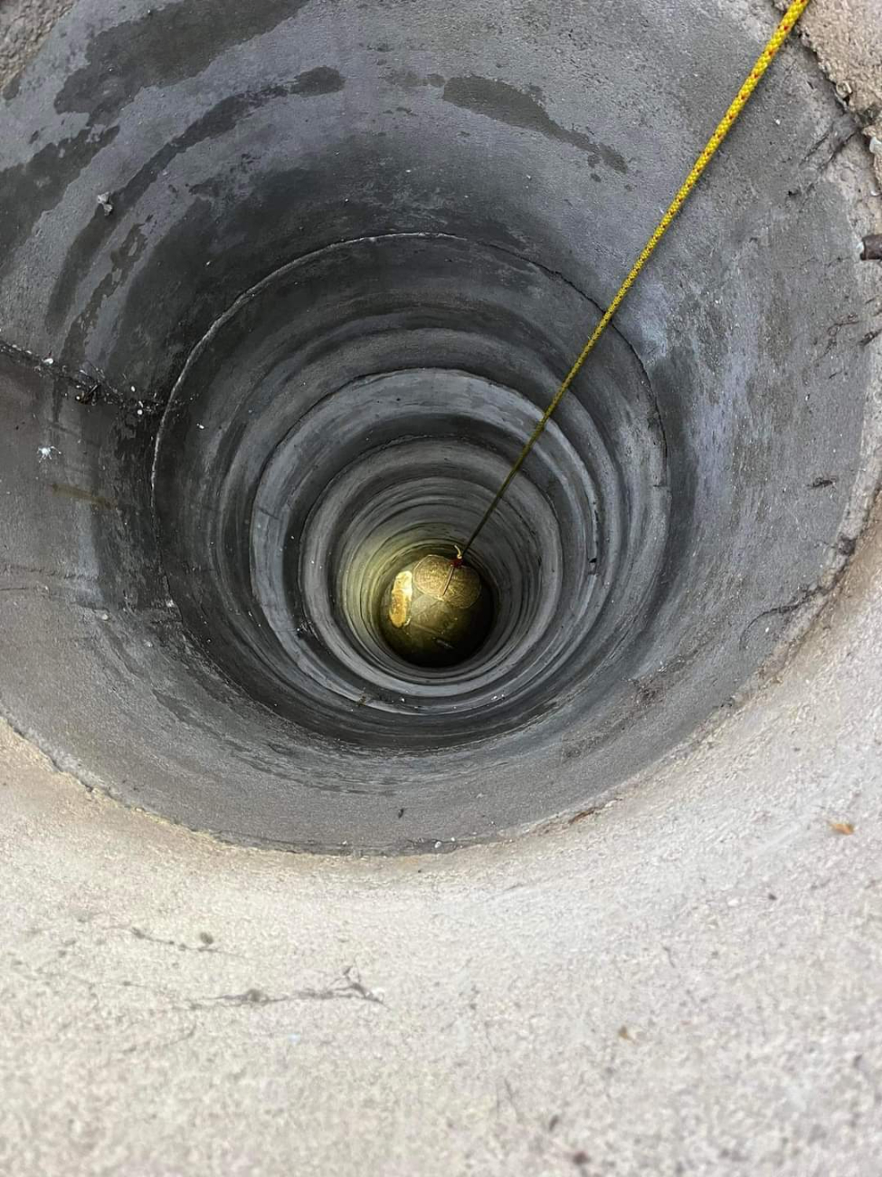 Kot wpadł do studni. Interweniowali strażacy