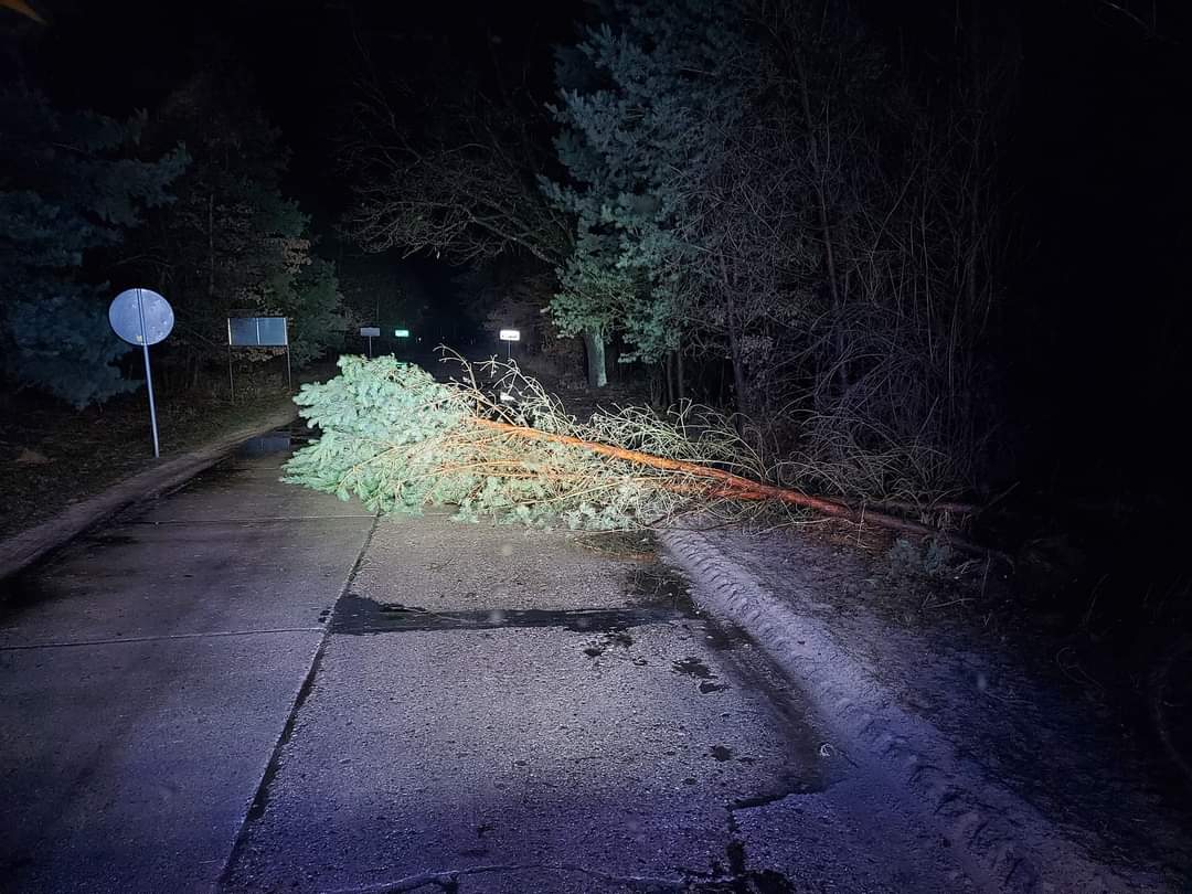 Wichura powaliła drzewa. Interweniowali strażacy