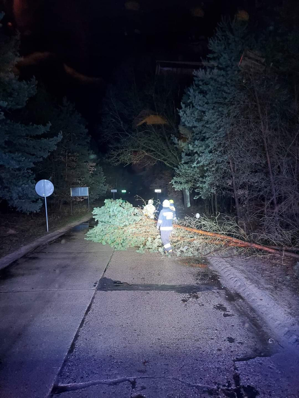 Wichura powaliła drzewa. Interweniowali strażacy