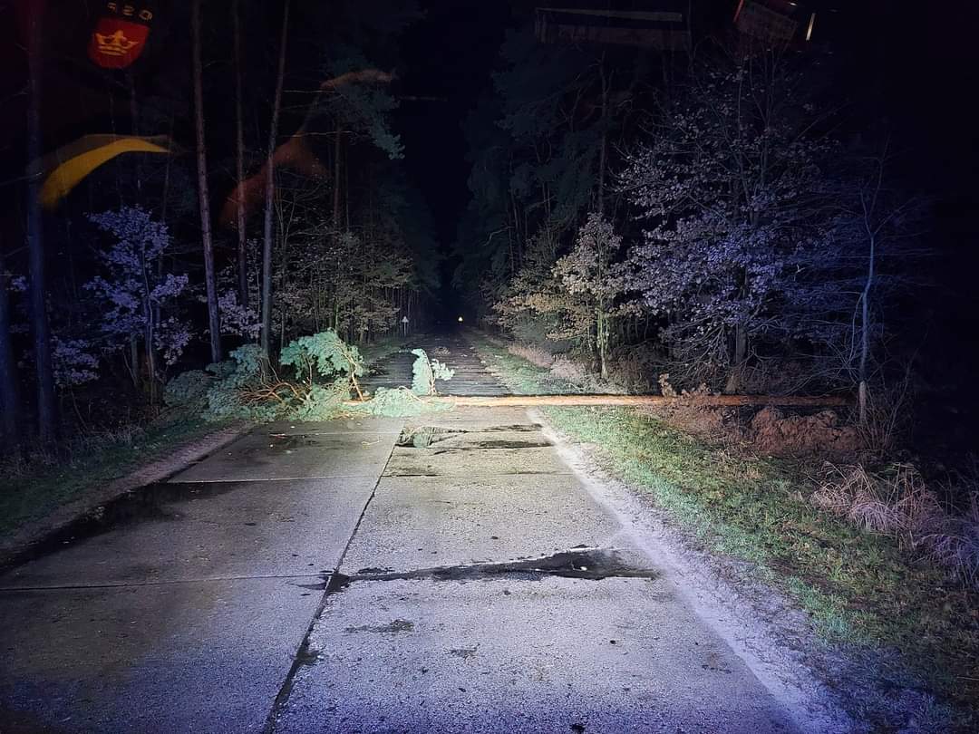 Wichura powaliła drzewa. Interweniowali strażacy