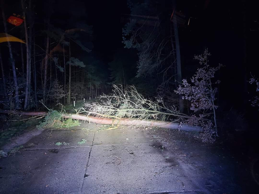 Wichura powaliła drzewa. Interweniowali strażacy