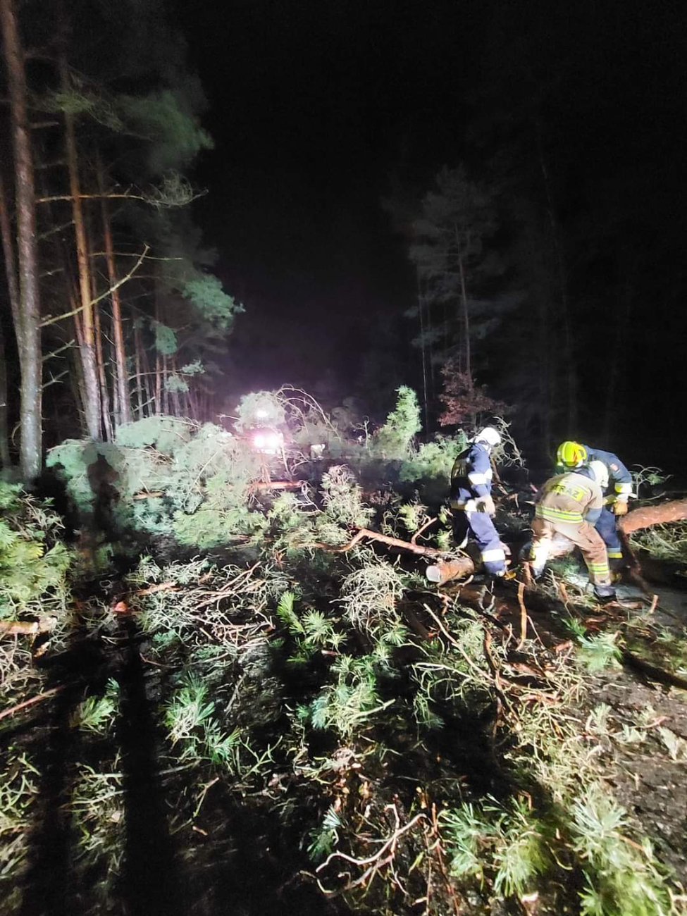 Wichura powaliła drzewa. Interweniowali strażacy