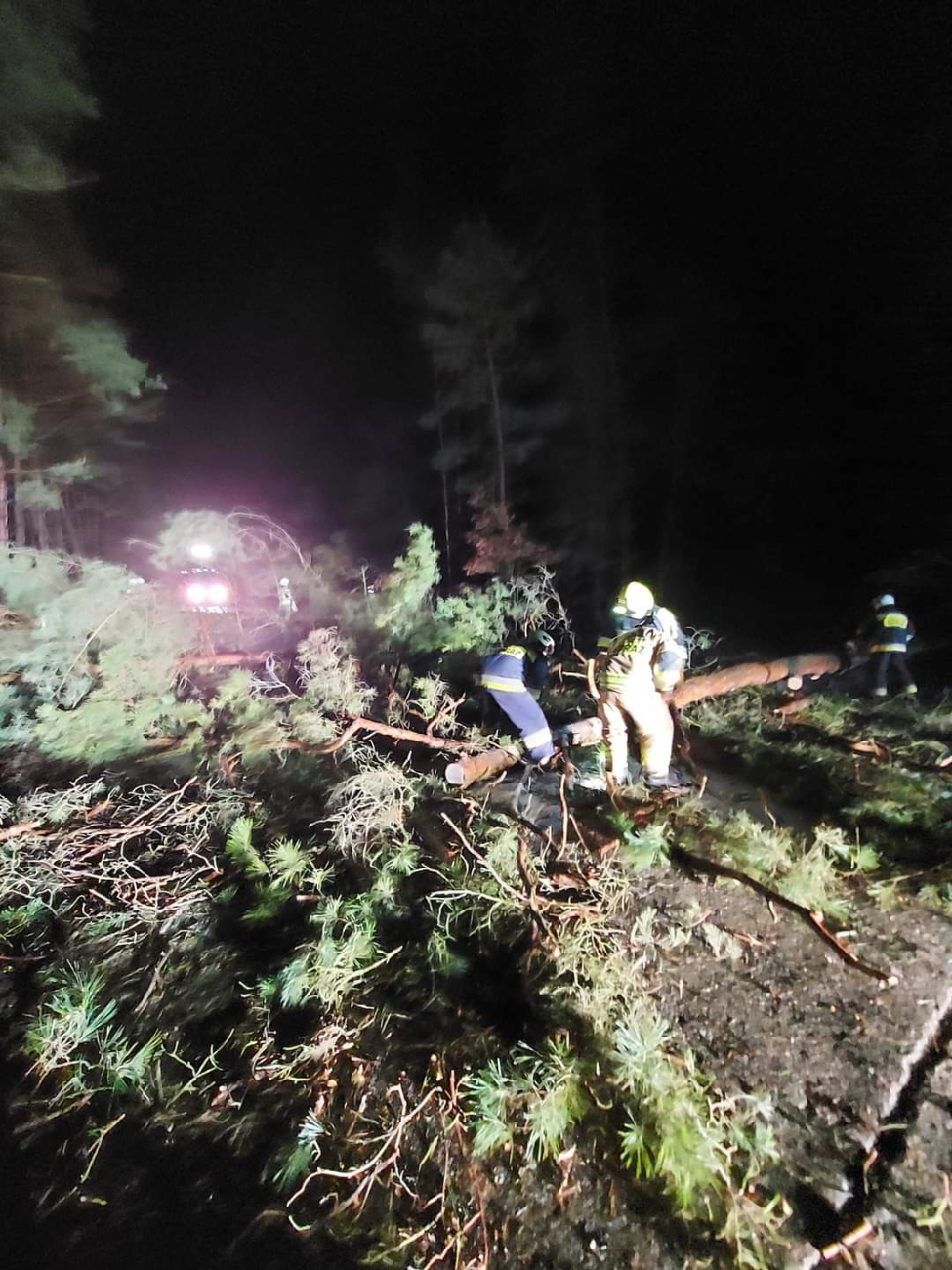 Wichura powaliła drzewa. Interweniowali strażacy