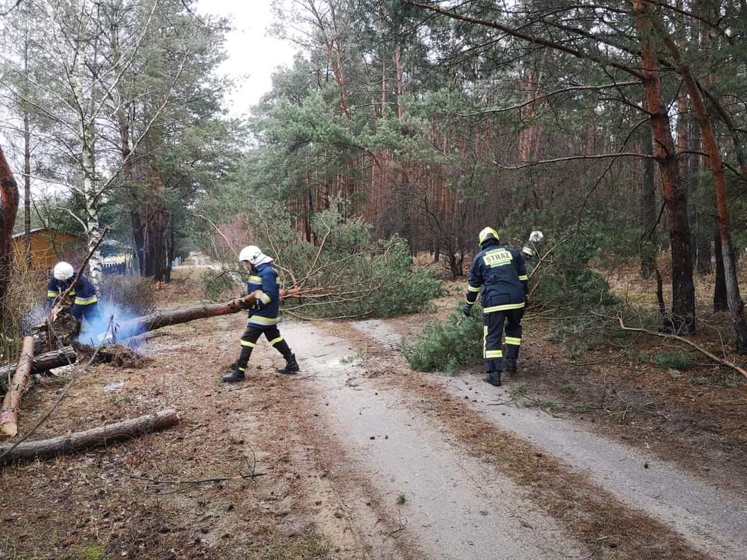 Powaliło drzewa na drogach leśnych