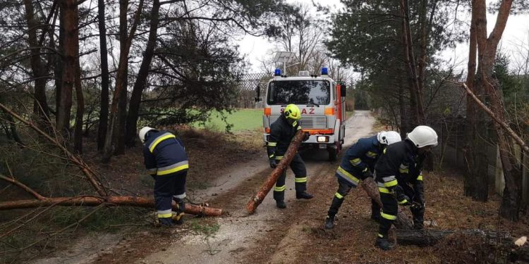 Powaliło drzewa na drogach leśnych