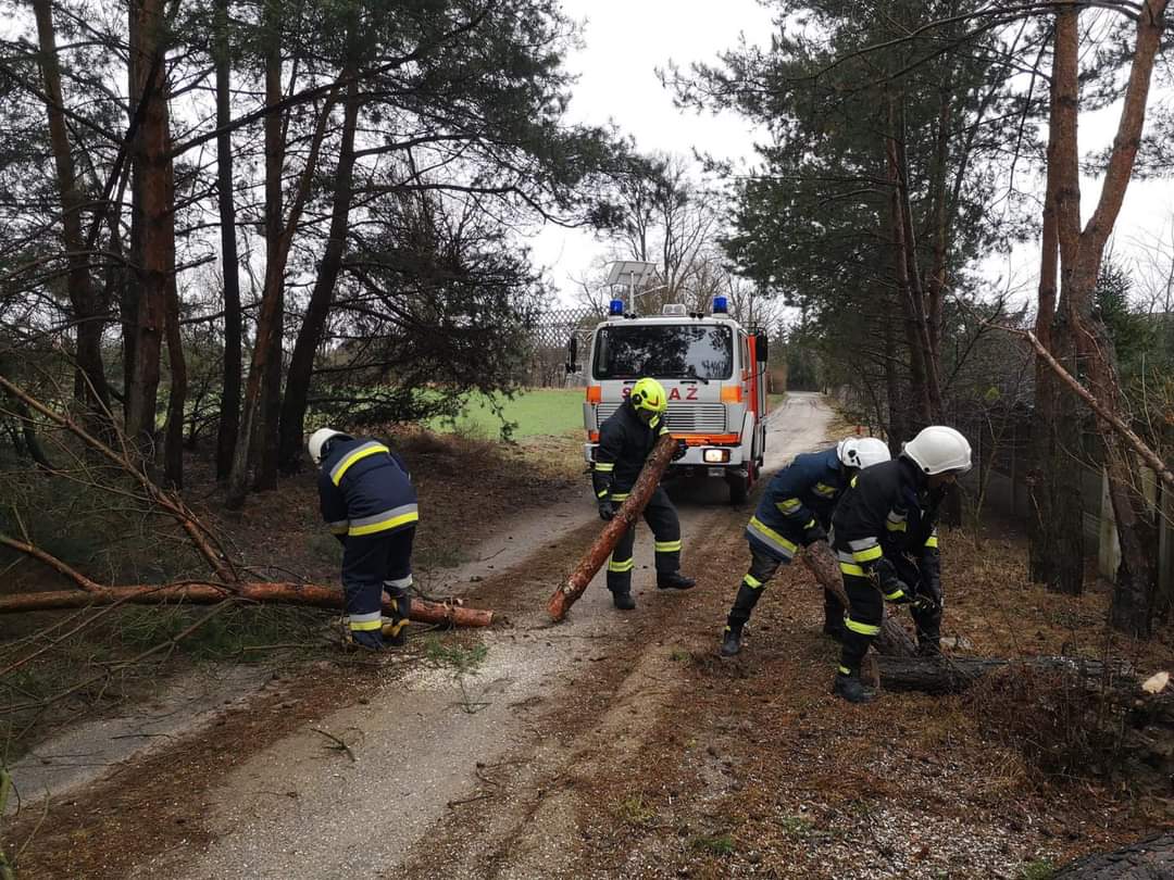 Powaliło drzewa na drogach leśnych