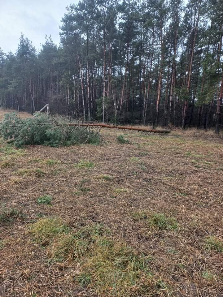 Zerwało linie energetyczne i złamało słup