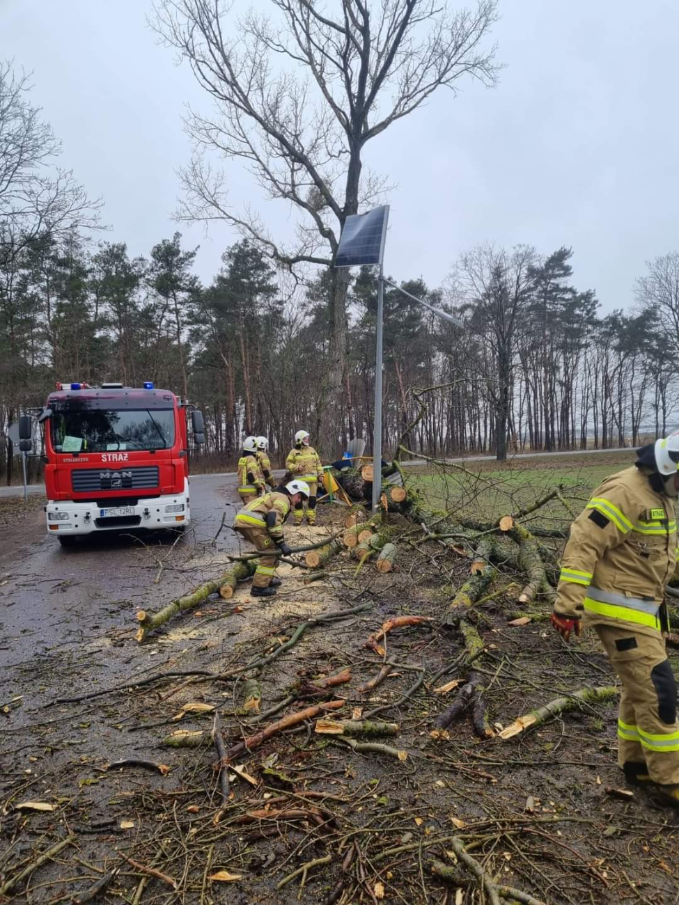 Strażacy usuwali skutki nawałnicy GALERIA ZDJĘĆ
