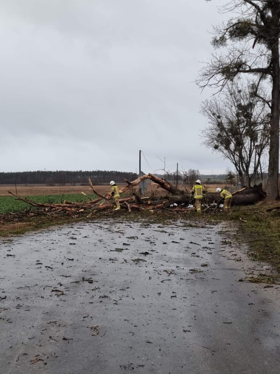 Strażacy usuwali skutki nawałnicy GALERIA ZDJĘĆ