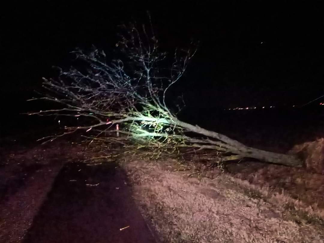 Strażacy usuwali skutki nawałnicy GALERIA ZDJĘĆ