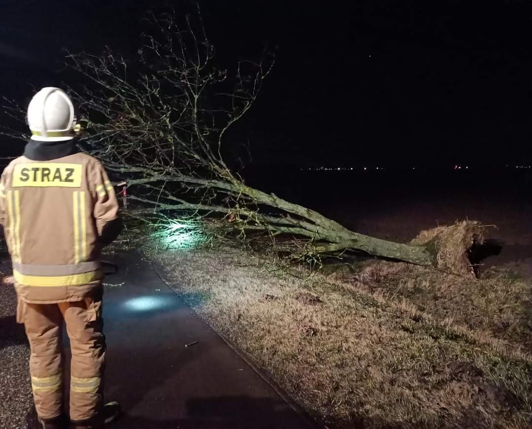 Strażacy usuwali skutki nawałnicy GALERIA ZDJĘĆ