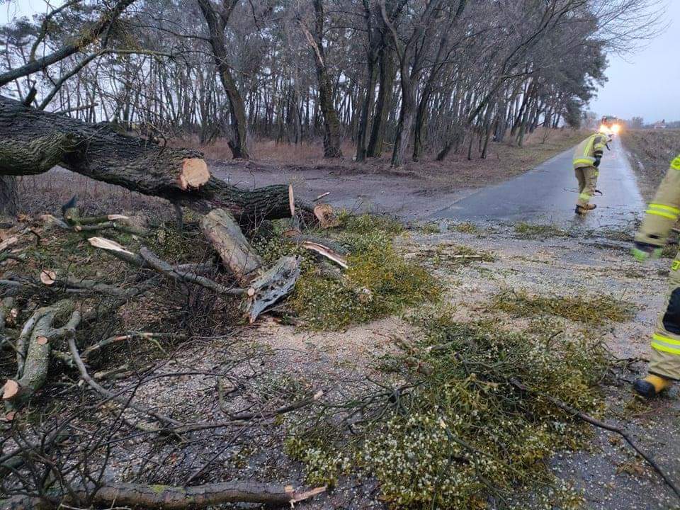 Strażacy usuwali skutki nawałnicy GALERIA ZDJĘĆ